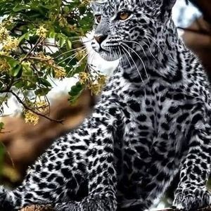 Meet your Posher, Heidi